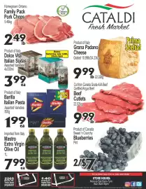 Cataldi Fresh Market flyer week 29 Page 1
