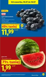 Lidl gazetka Strona 13