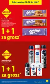 Lidl gazetka Strona 19