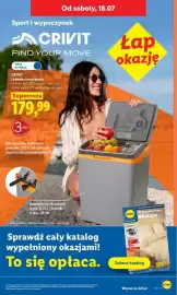 Lidl gazetka Strona 43