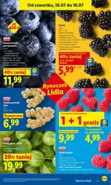Lidl gazetka Strona 45