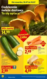 Lidl gazetka Strona 46