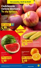Lidl gazetka Strona 47