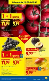 Lidl gazetka Strona 49