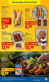 Lidl gazetka Strona 53