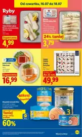 Lidl gazetka Strona 67