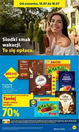 Lidl gazetka Strona 69