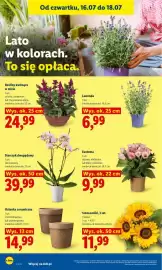 Lidl gazetka Strona 94