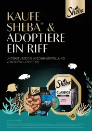 Sheba: Kaufe Sheba & adoptiere ein Riff! Seite 1