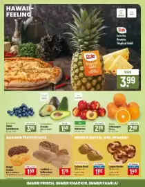 Famila Nord Ost Prospekt woche 30 Seite 5