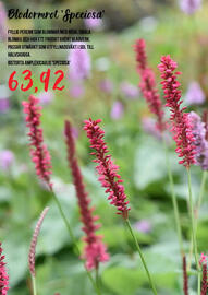 Blomsterlandet reklamblad Sida 8