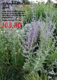 Blomsterlandet reklamblad Sida 2