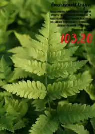 Blomsterlandet reklamblad Sida 3