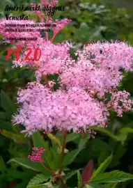 Blomsterlandet reklamblad Sida 4