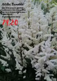 Blomsterlandet reklamblad Sida 5