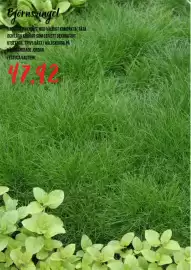 Blomsterlandet reklamblad Sida 7