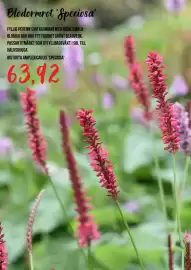 Blomsterlandet reklamblad Sida 8