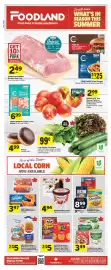 Foodland flyer week 29 Page 1