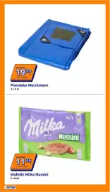 Action gazetka tydzień 29 Strona 11