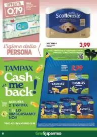Volantino Gran Risparmio Pagina 14