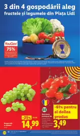 Catalog Lidl săptămâna 30 Pagină 22