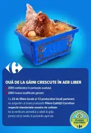 Catalog Carrefour Pagină 4