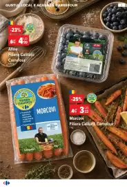 Catalog Carrefour Pagină 6