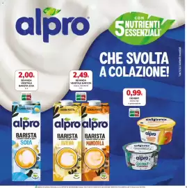 Volantino Basko Pagina 5