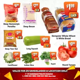 Indian Frootland flyer Page 4