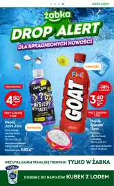 Żabka gazetka Strona 11