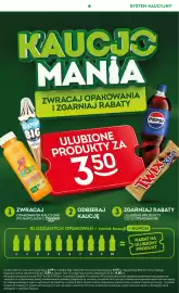 Żabka gazetka Strona 13