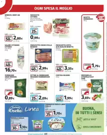 Volantino Ipercoop Pagina 13