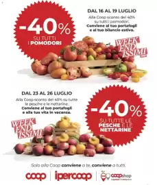 Volantino Ipercoop Pagina 17