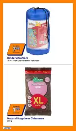 Action Flugblatt woche 29 Seite 14