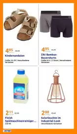 Action Flugblatt woche 29 Seite 29