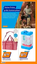 Action Flugblatt woche 29 Seite 33