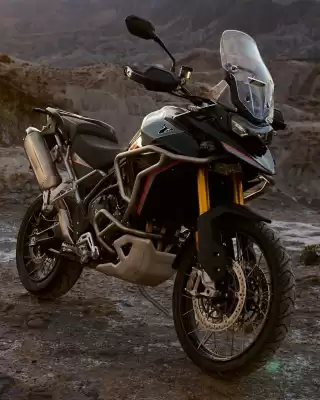 Triumph (válido até 28-07)