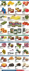 Big Y flyer week 29 Page 9