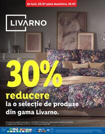 Catalog Lidl săptămâna 30 Pagină 4