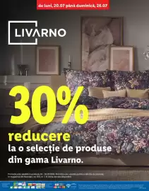 Catalog Lidl săptămâna 30 Pagină 4