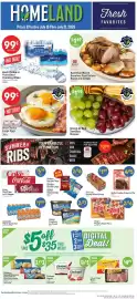 Homeland Market weekly ad week 29 Page 1