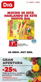 Folleto La Plaza de DIA semana 29 Página 1