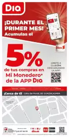 Folleto La Plaza de DIA semana 29 Página 12