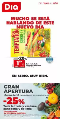 Folleto Dia Fresh (válido hasta el 21-07)