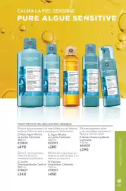 Catálogo Yves Rocher Página 105