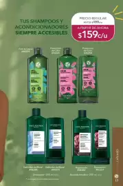 Catálogo Yves Rocher Página 19