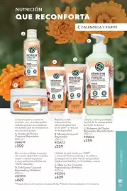 Catálogo Yves Rocher Página 33