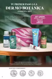 Catálogo Yves Rocher Página 4