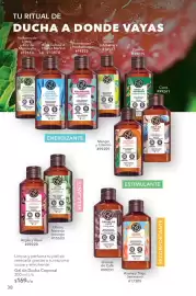 Catálogo Yves Rocher Página 40