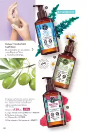 Catálogo Yves Rocher Página 42